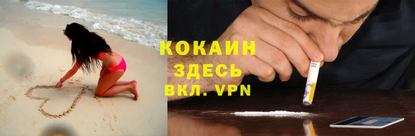 a pvp Тайга