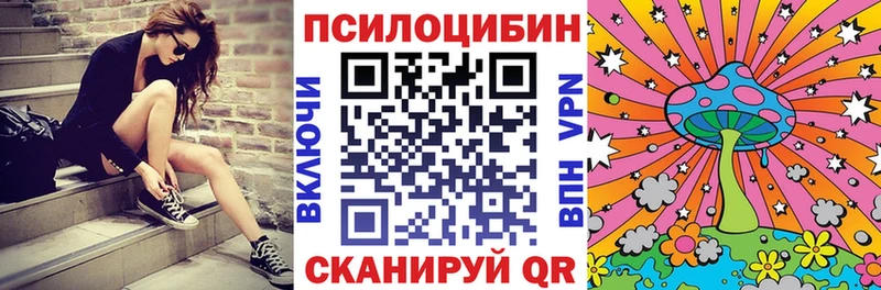 Галлюциногенные грибы Psilocybine cubensis  Невьянск 
